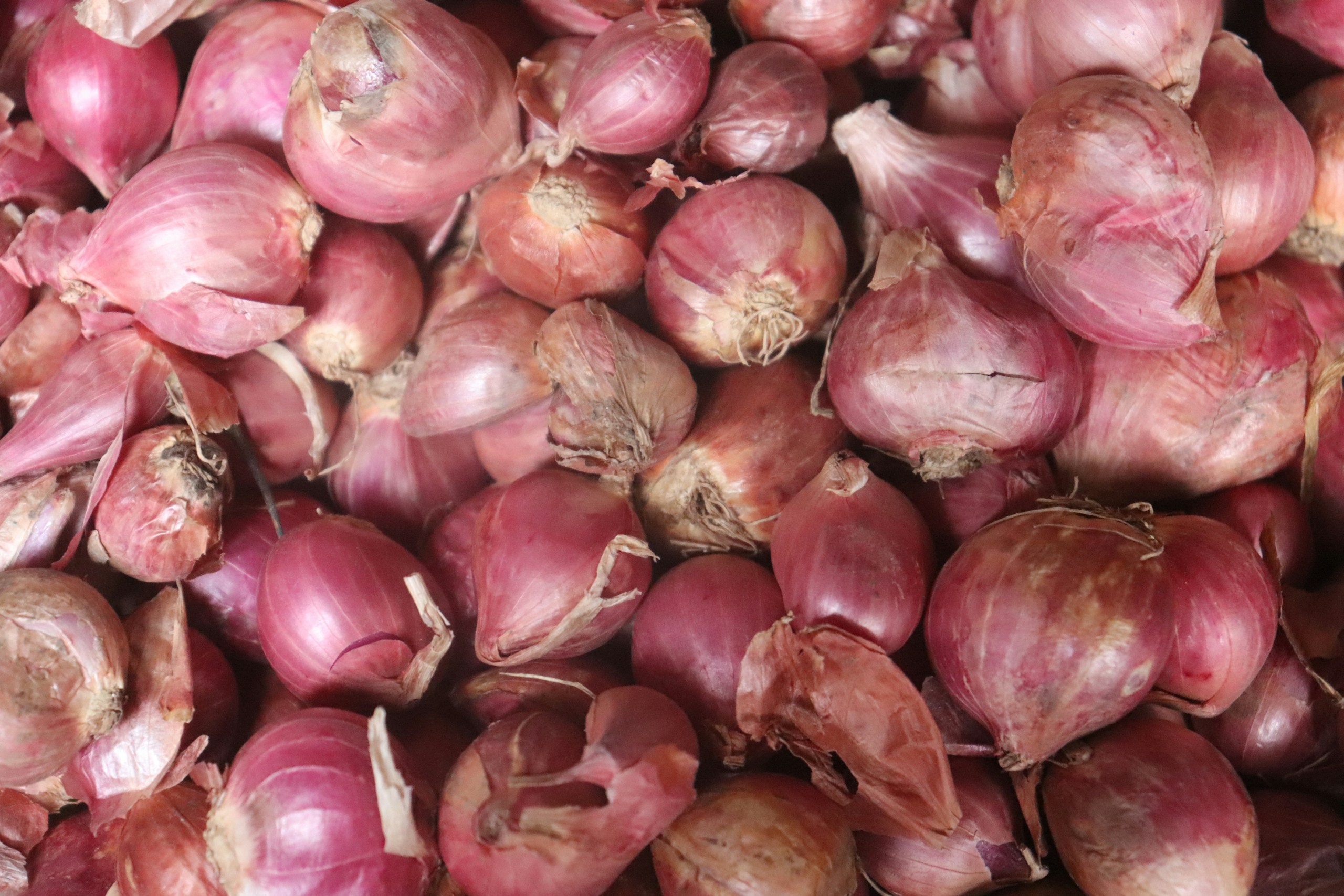 Membaca harga pasar sebelum menjual