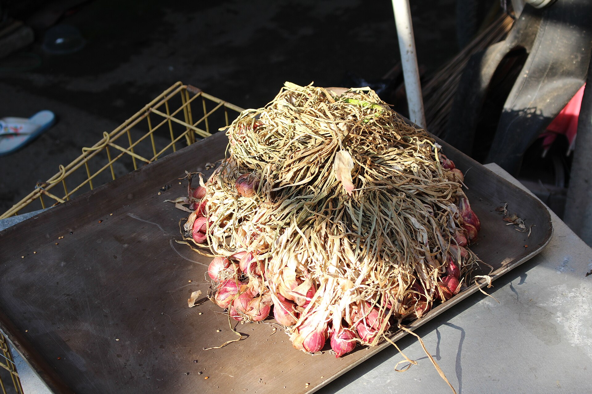 Umbi bawang merah setelah panen